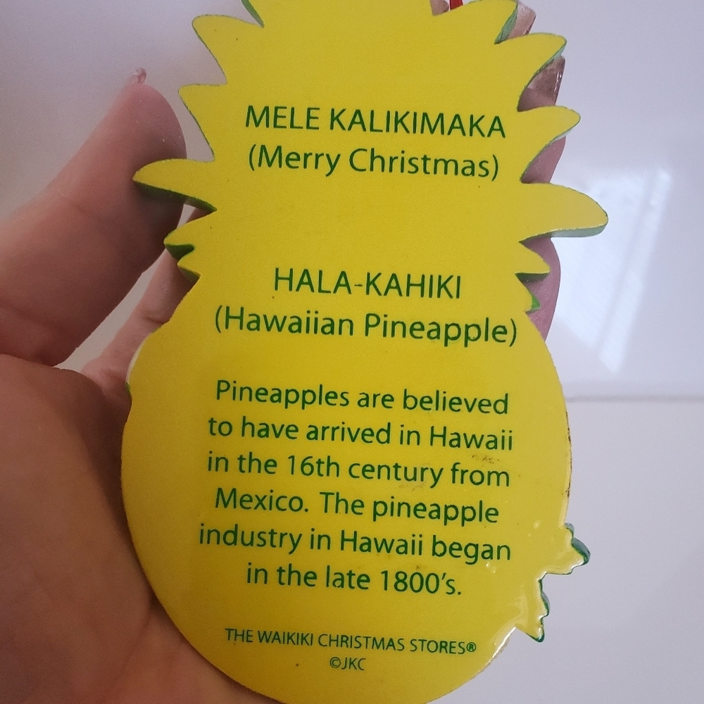 Hawaiian "Meyer's Ohana" Souvenir Ornament - Picture 3 of 6